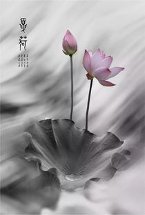 永嘉光影不息 第三届摄影双月赛佳作揭晓，第四季征稿正式启动