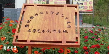 循化乙日亥村 花海间绽放的文艺之光——首届花海文学艺术节感记